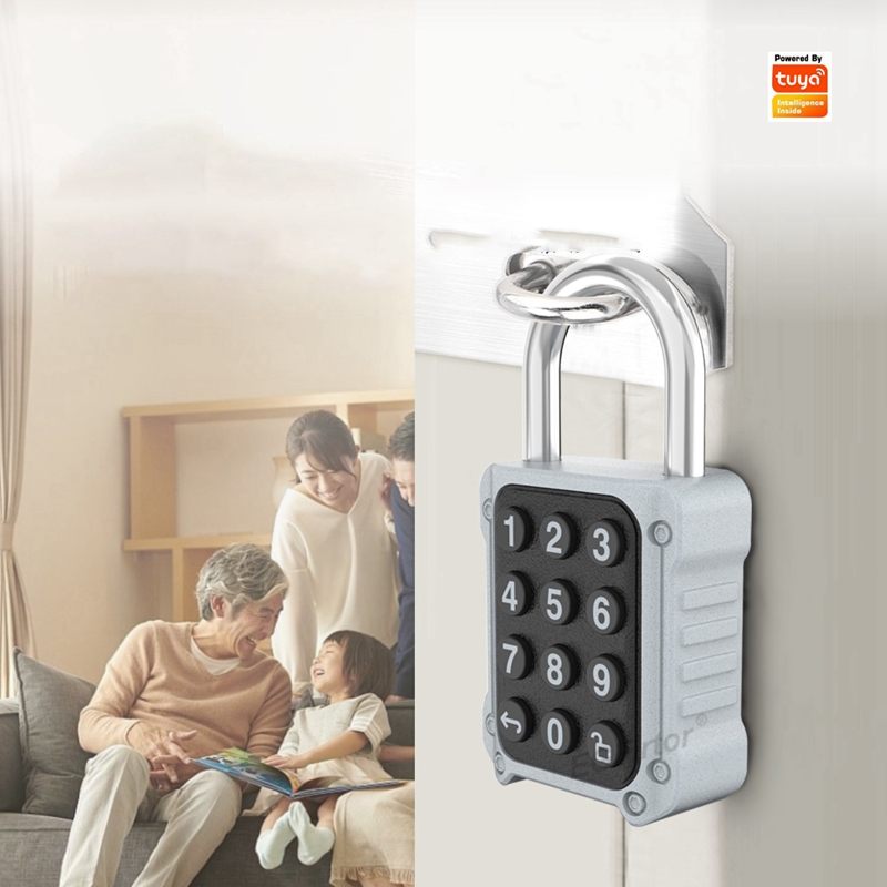 EGFirtor Tuya APP Electronic S - Lockbox Key Secure reseña y precio