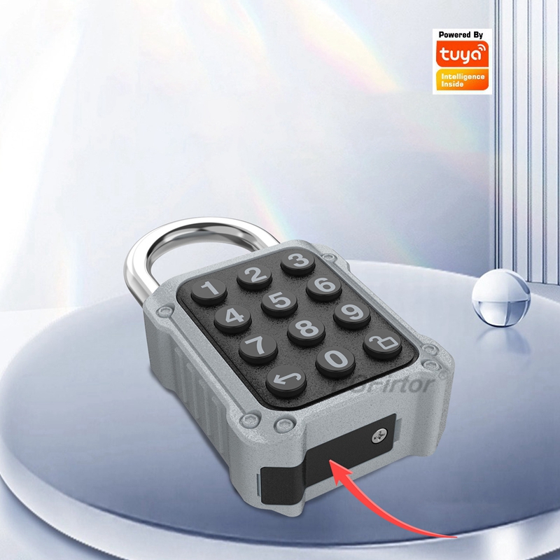 EGFirtor Tuya APP Electronic S - Lockbox Key Secure reseña y precio
