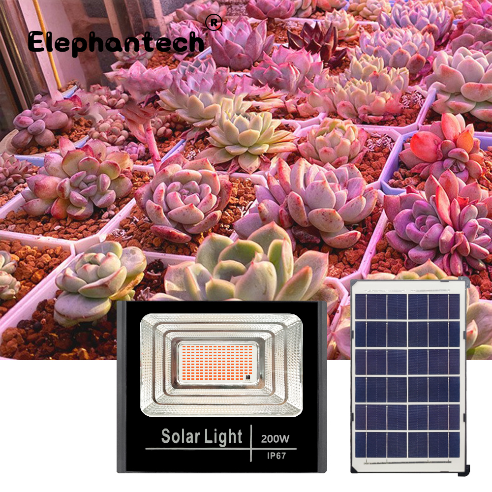 LED Full Spectrum Phyto Lamp 2 - Power Outage Light reseña y precio